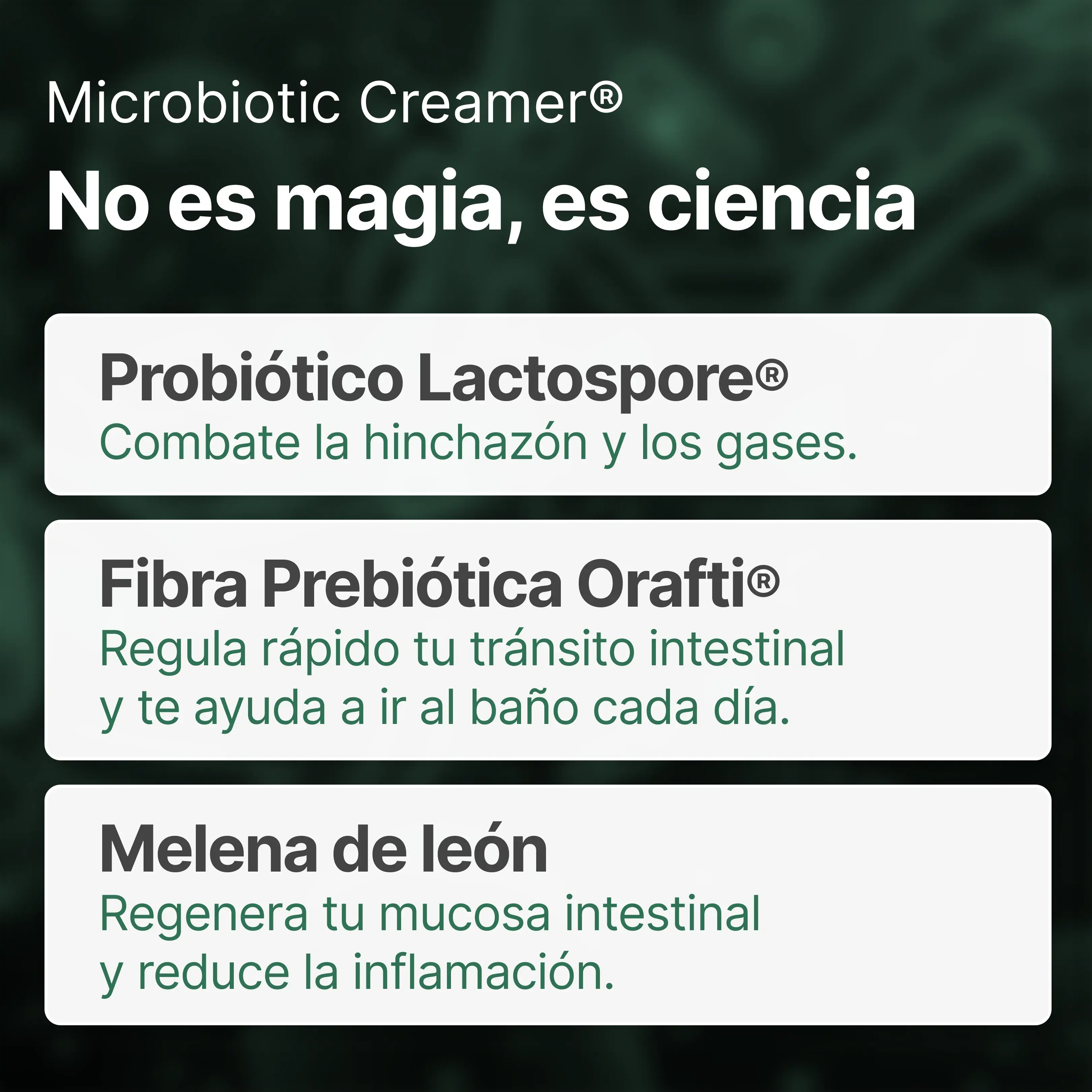 Imagen del producto 8