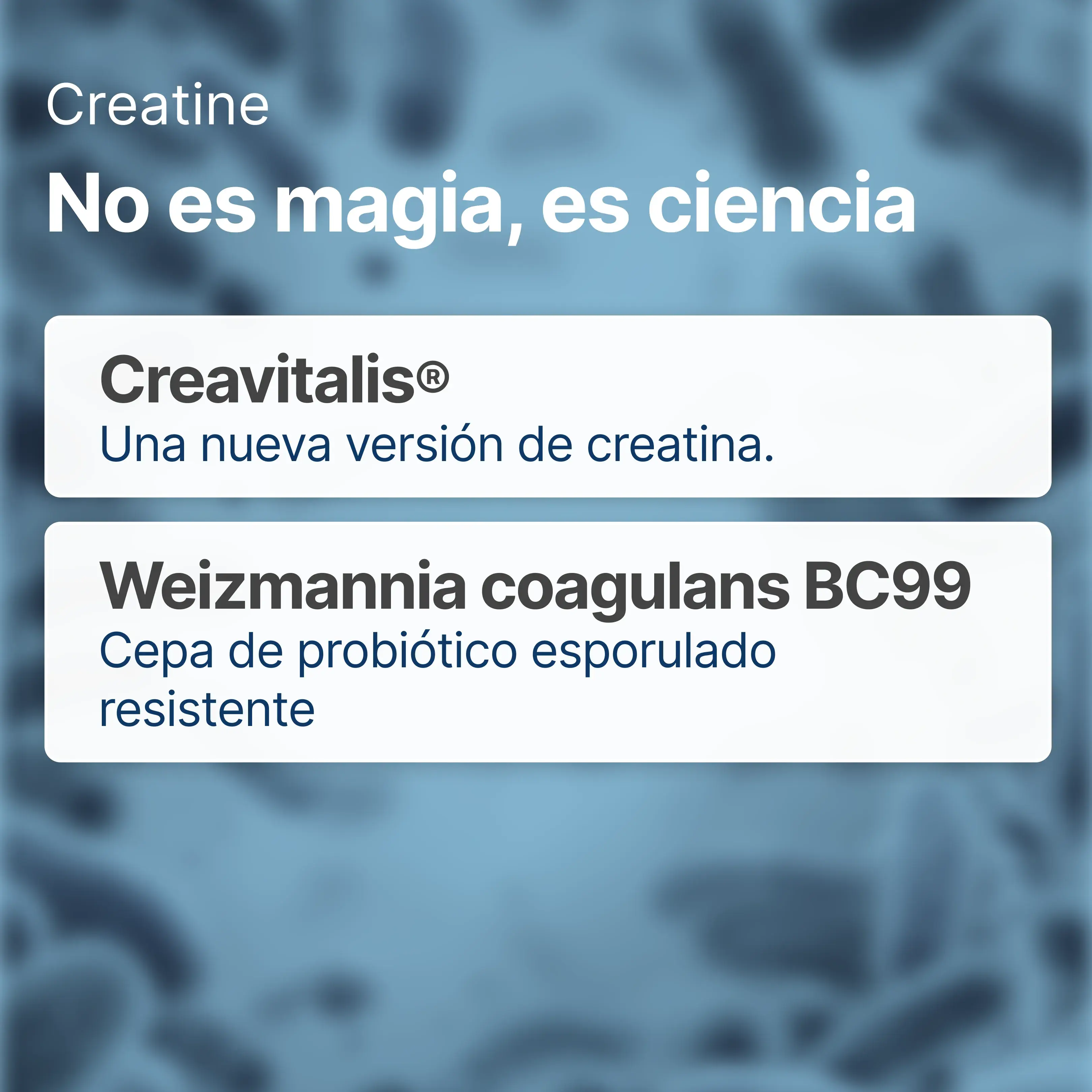 Imagen del producto 9