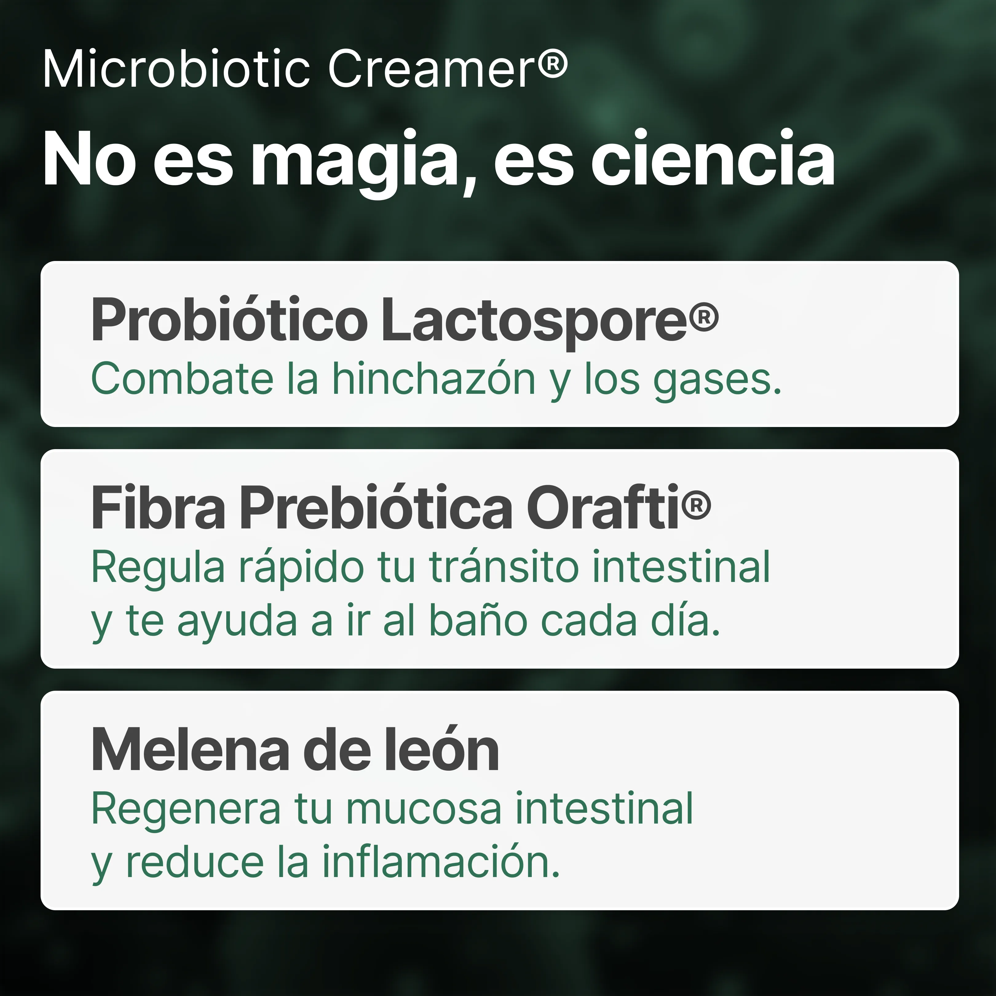 Imagen del producto 8